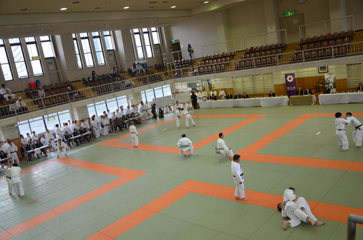 DSC_2462.JPG